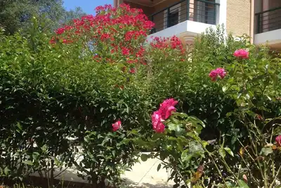 Image de Niso Villas Dans Le Village Gyri De La Zante