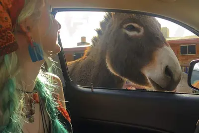 Image de Une tranche de paradis dans le désert