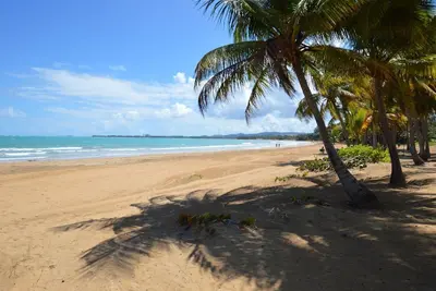 Image de Wyndham Grande Rio Mar Beach and Golf Resort