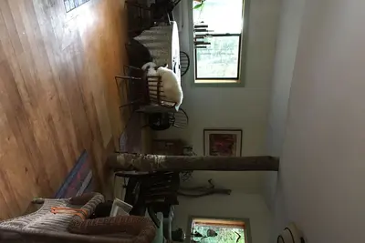 Image de Kager Mountain Retreat