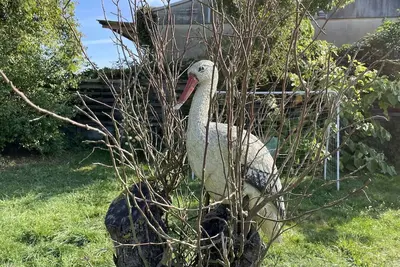 Image de Joli appartement pour 5 personnes avec Tv, patio et animaux admis