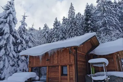 Image de Chalet près des pistes, face aux sentiers de randonnée