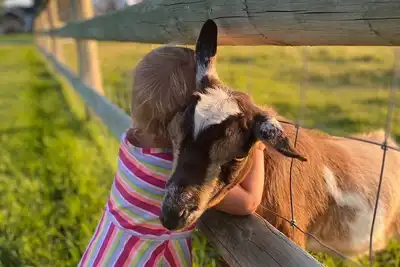 Image de Mignon, tout à fait, petite maison d'hôtes avec espace ouvert à quelques minutes de la ville