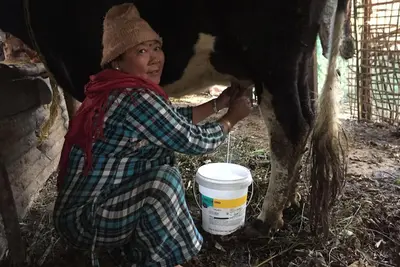 Image de Famille d'accueil biologique du village, passez vos vacances dans un environnement paisible