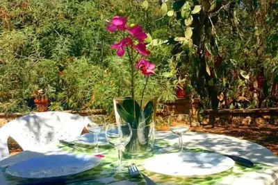 Image de Studio climatisé & grand jardin 200m plage Calvi