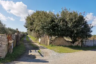 Image de appartement avec pinède