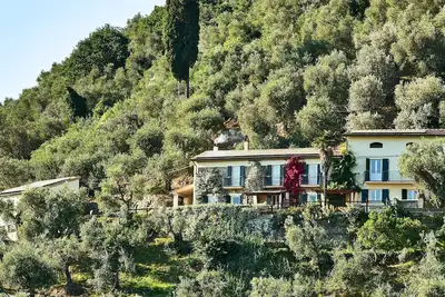 Image de Vues Tour Penchée! Près de Pise et de Lucques - Superbe Olive Grove House + Lovely Pool!