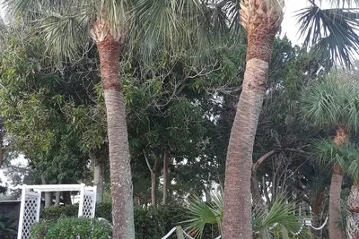 Image de Oasis sur la côte de l'espace - 3 chambres 2 salles de bain Villa 3 pâtés de maisons de la plage