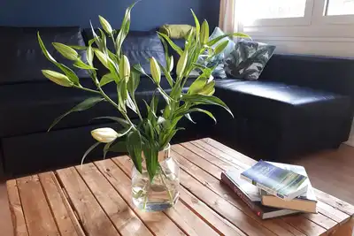 Image de Bon karma au dernier étage - Londres