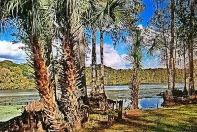 Image de Maison au bord de l'eau sur la rivière Withlachoochee, terrasse, piscine, vue absolument magnifique!