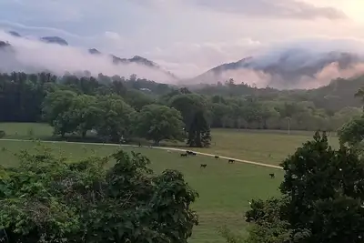 Image de Crystal Creek Cottage