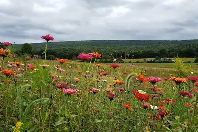 Image de Unique, unique, belle cabane rustique dans les Laurel Highlands