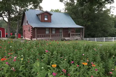 Image de Propriétés de la petite maison - Country Log Cabin