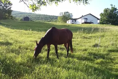 Image de Haven is a quiet retreat located in the scenic hills of Monterey, Virginia.