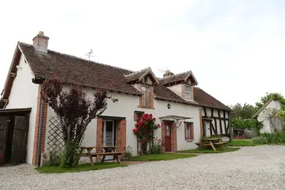 Image de les fougères de la nigaudière 123sologne entre beauval et les chateaux