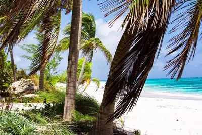 Image de Ocean View Coral - Private Beach Resort
