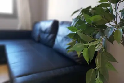 Image de Del Parque Flats Central