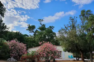 Image de Maison individuelle sur terrain arboré, au calme, entre mer et montagne.