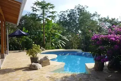 Image de Eco Home personnalisé, privé, piscine, vue sur la canopée. À partir de 149 $ par nuit
