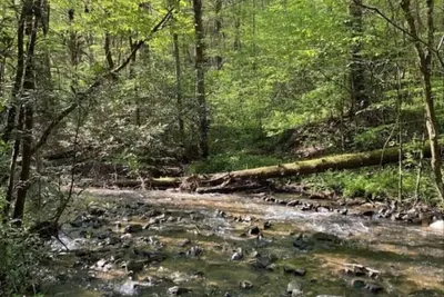 Image de Cabane en rondins isolée avec un ruisseau Rushing - Nouvelle inscription