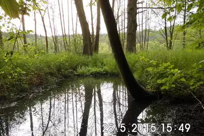 Image de Vacances dans un environnement boisé et riche en eau - loin du stress et de l'agitation