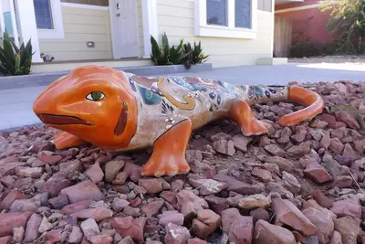 Image de South Shores Lake Powell Gecko