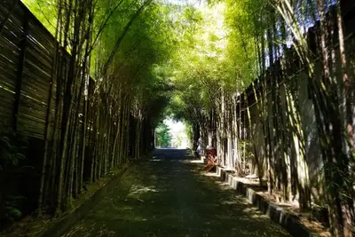 Image de Kampoeng Bamboo w / Private Pool 50Mbps Internet