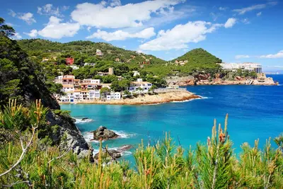 Image de Magnifique maison de vacances avec Wifi, Tv, patio, animaux admis, vue panoramique et parking