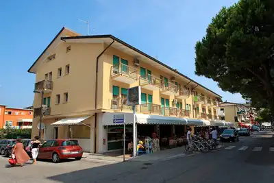 Image de Stella d'Oro