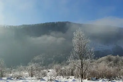 Une atmosphère chaleureuse qui garantit un bon moment avec une nature intacte.