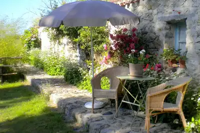 Image de \"Les Oiseaux de Passage\"