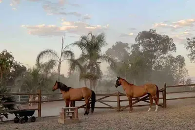 Image de Petting Zoo - Glamping Ranch Vibes