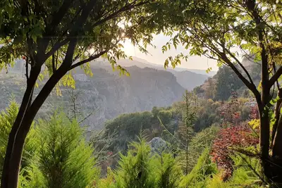 Image de Sequoia Guesthouse