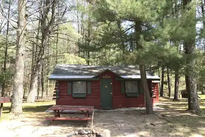 Image de Ellis Lake Resort - Birch Log Cabin-Interlochen / Traverse City