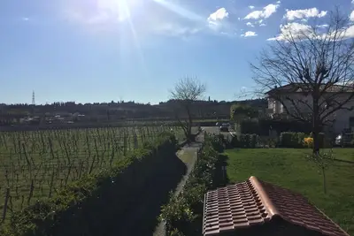 Image de Valpolicella: un regard sur Valpolicella.