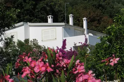 Image de Appartement dans Villa avec vue mer