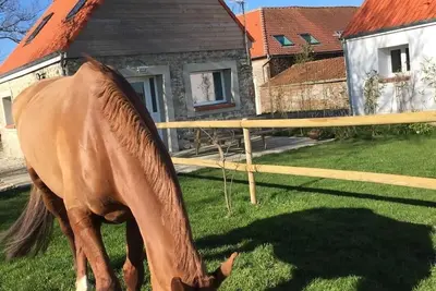 Image de Gîte \"Majesty\" 4-5 people - Equestrian gite - near sea and forest