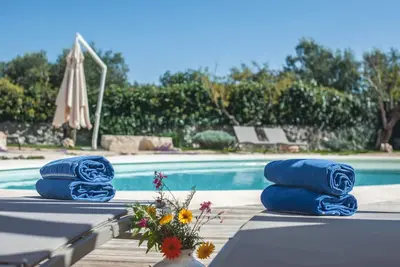 Image de Attardez l'amandier