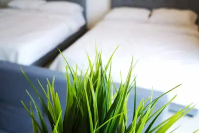 Image de Machome GuestHome at Trefoil Setia City