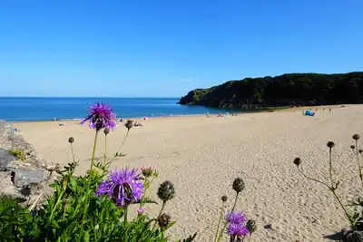 Image de Vue sur la mer depuis chaque fenêtre, marche depuis la porte. Chien bienvenus.