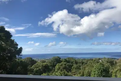 Image de Carribean / Rainforest