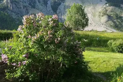 Image de Plusieurs appartements/maisons à louer dans une belle vallée en France