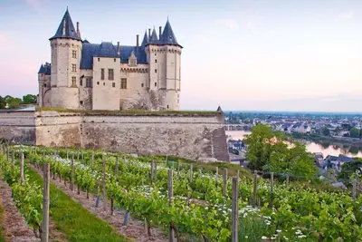 Image de Agréable appartement pour 4 personnes avec piscine, Wifi, Tv, terrasse, animaux admis et parking