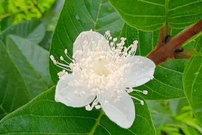 Image de I'm not renting at the moment