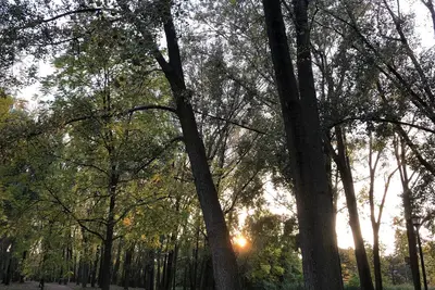 Image de Martine et Michel