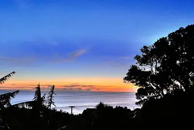 Image de Muriwai Family Beach Gem