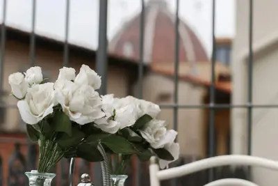 Image de magnifique terrasse à Florence