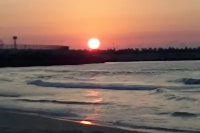 Image de A quelques dixaines de mètres de la plage appartement lumineux vue mer et parc.