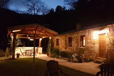 Image de verdure dans la châtaigneraie.