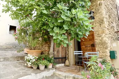 Image de Bormes-Les-Mimosas Village